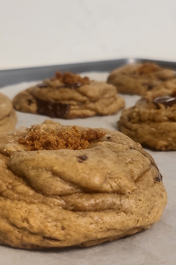 Summer Limited Edition Cookie View 2
